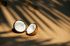 Two coconuts are sitting on the sand under a palm tree.