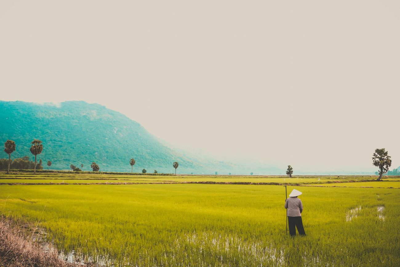 A woman is standing in a lush green field with mountains in the background.