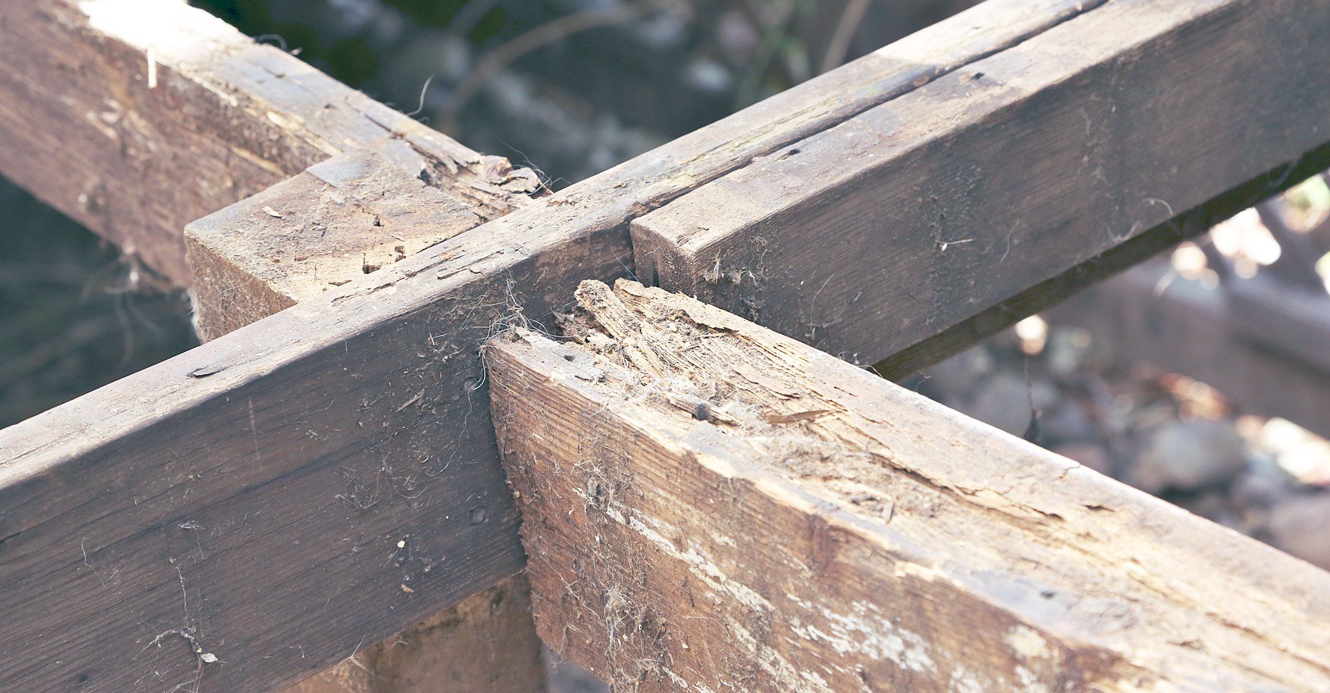 Dry and wet rot solutions