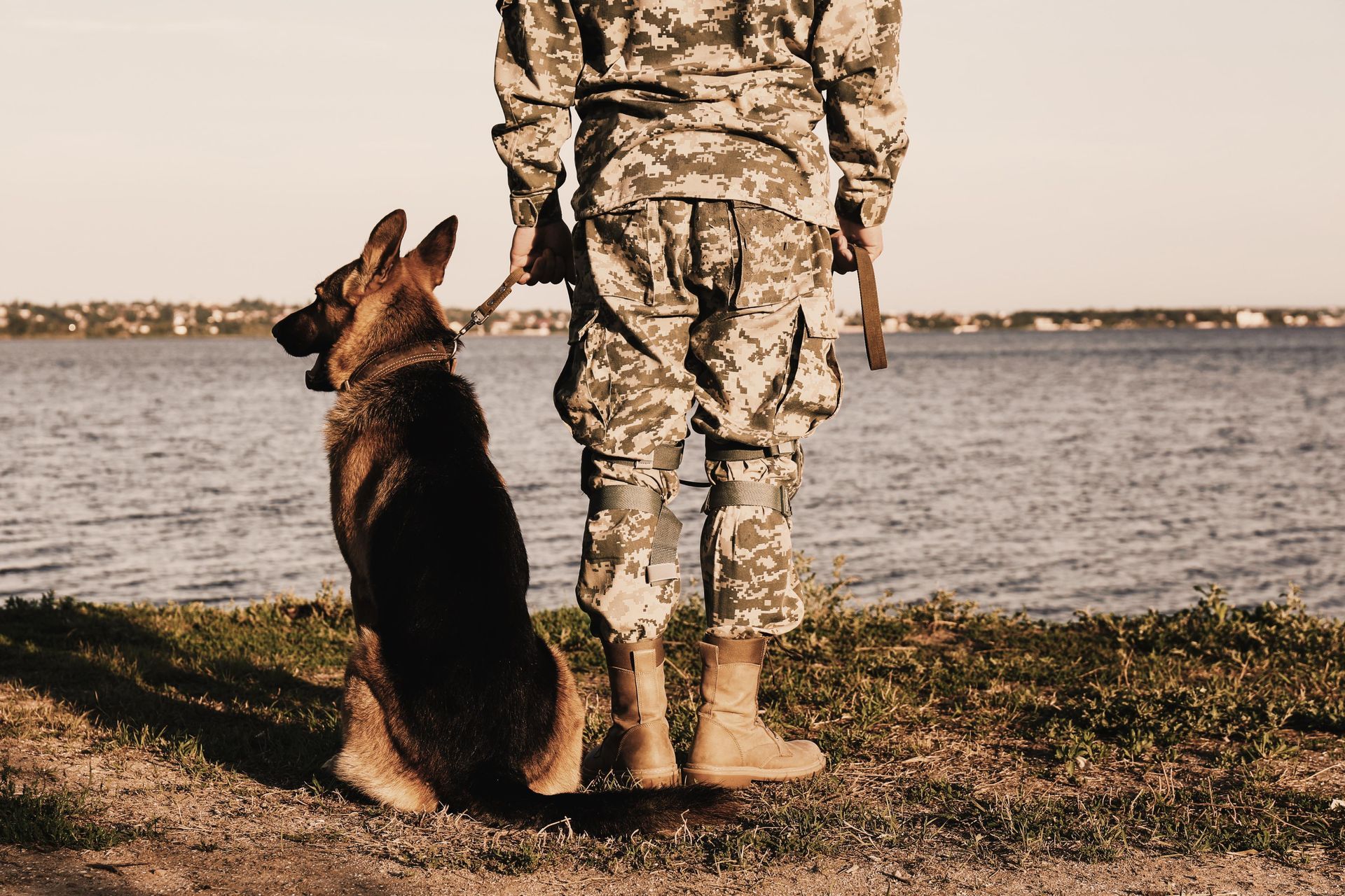 Soldier in camouflage with a German Shepherd dog overlooking a body of water. Sunny day.
