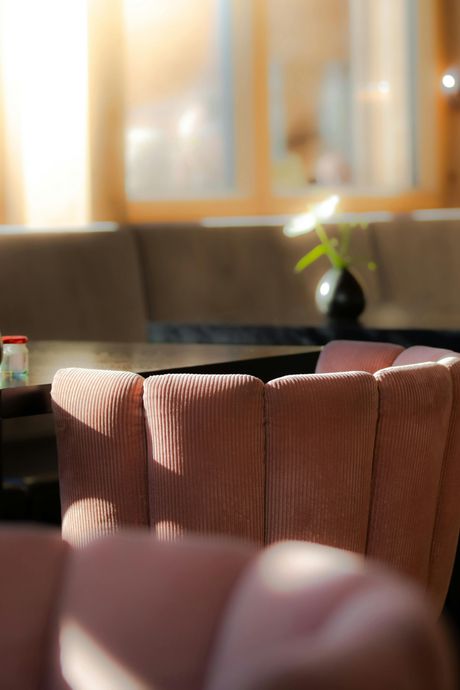 Pink corduroy armchairs in a sunlit room, with a dark table and a plant in a vase in the background.