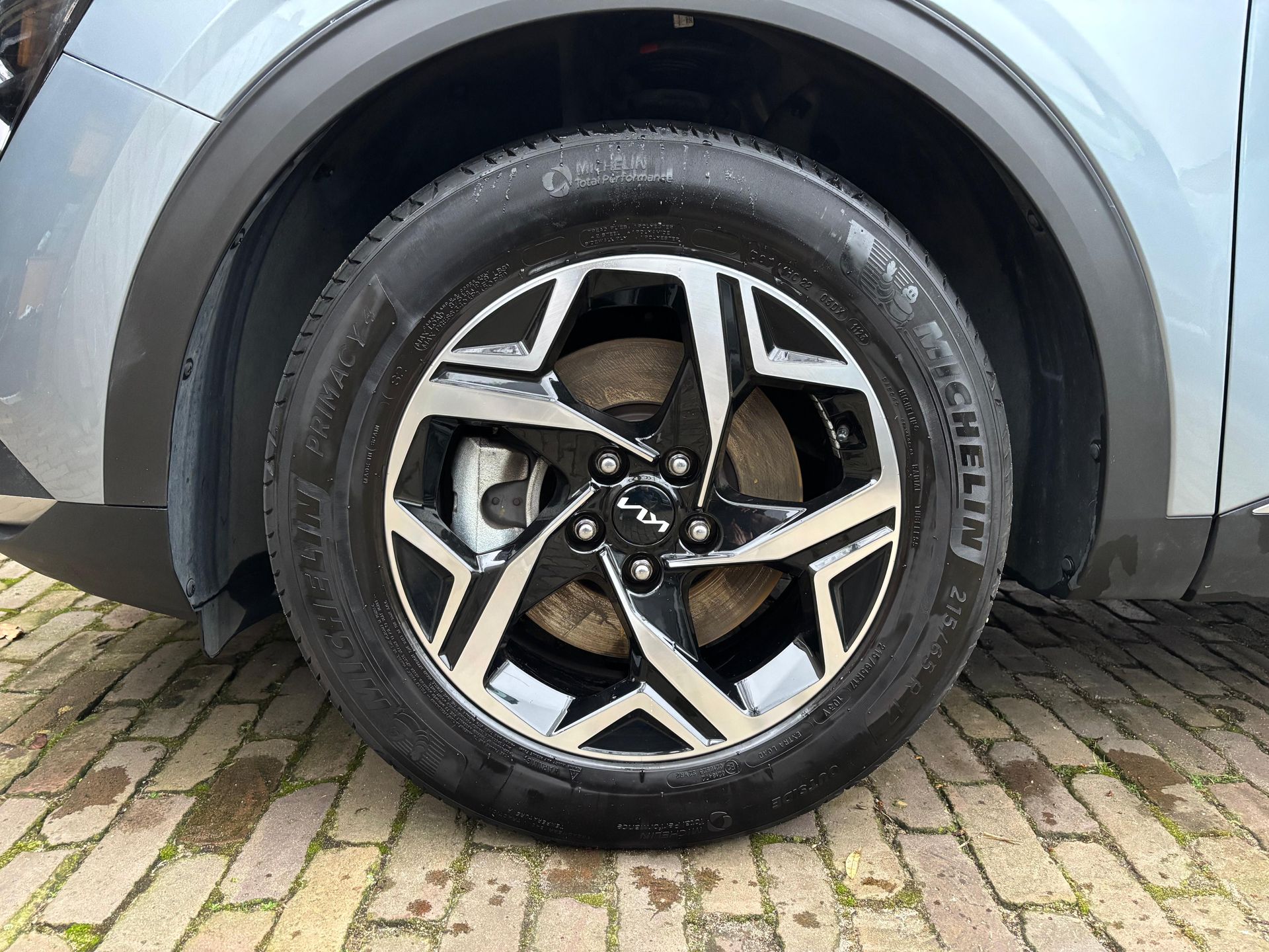 Velgen professioneel reinigen