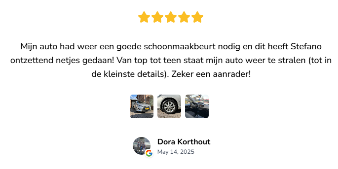 Review Nicolas auto detailing 