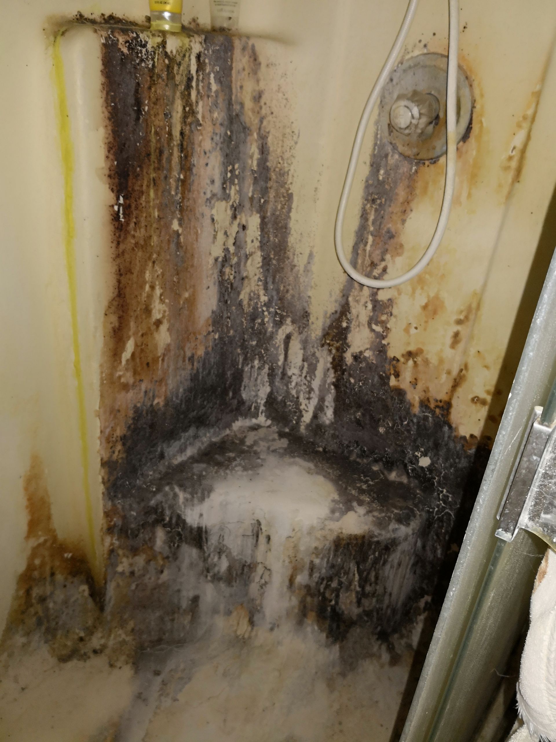 A shower stall with heavy, dark, extensive mold buildup on the walls and seat.