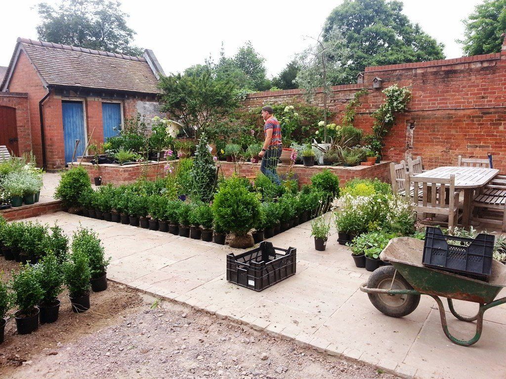 A man is watering plants in a garden with a wheelbarrow.