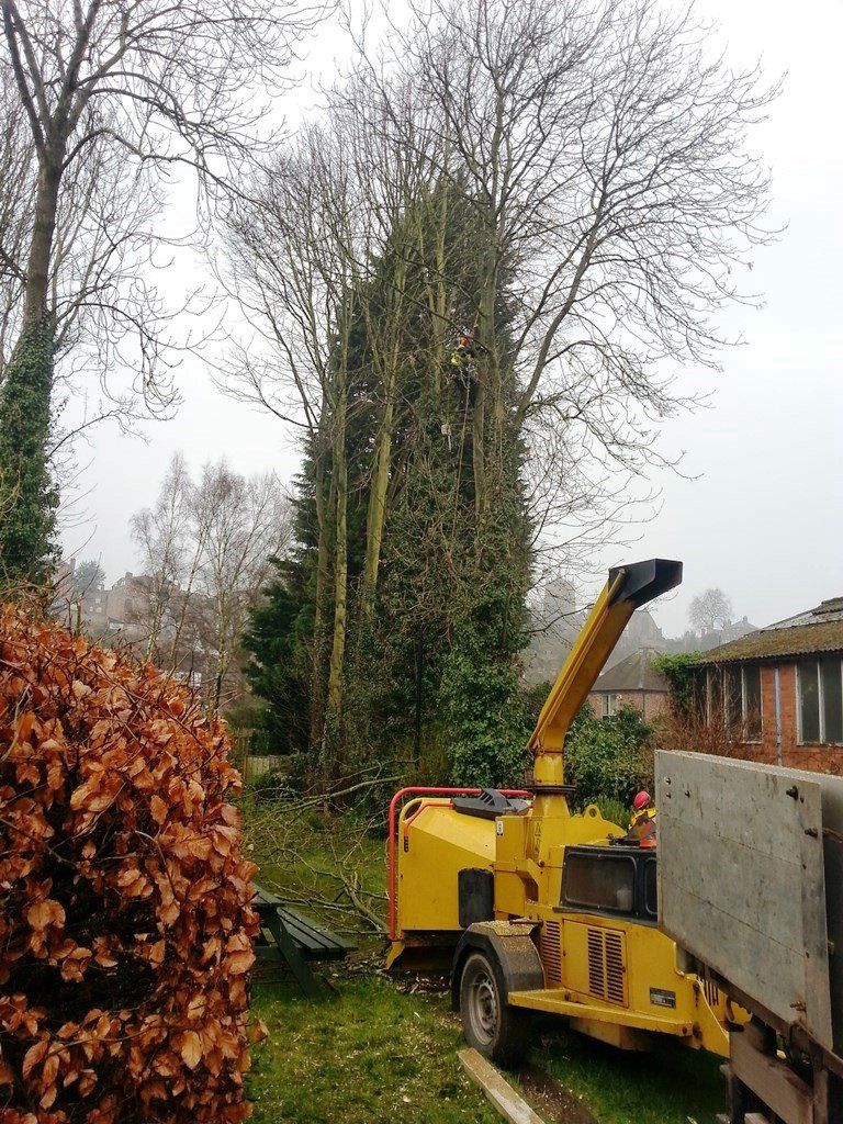 A tree chipper is cutting down a tree in a yard.
