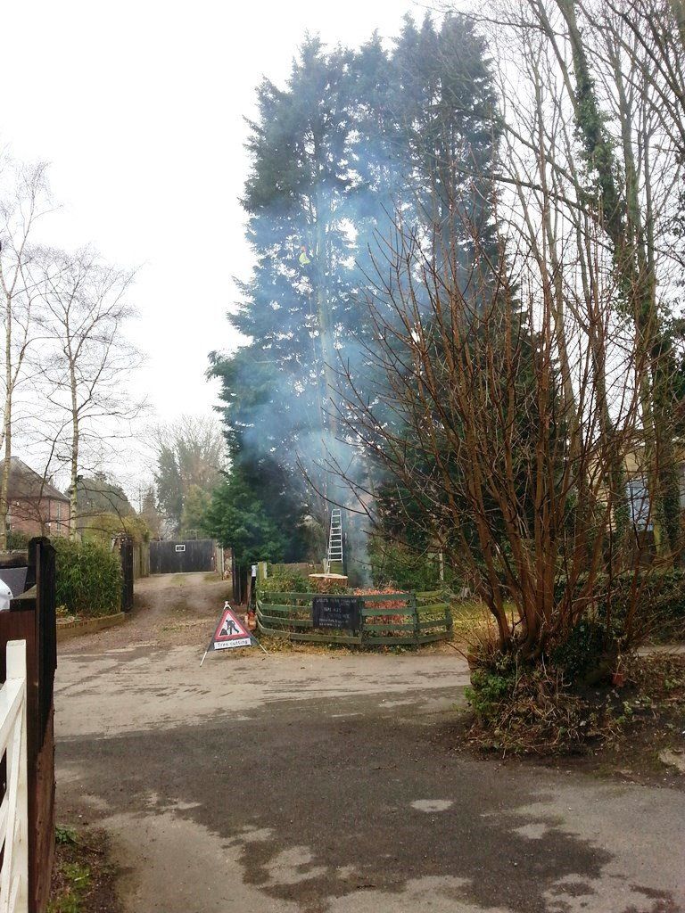 Smoke is coming out of a tree in the middle of a road.