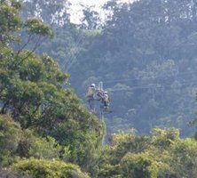 Two people working on powerlines in bushland