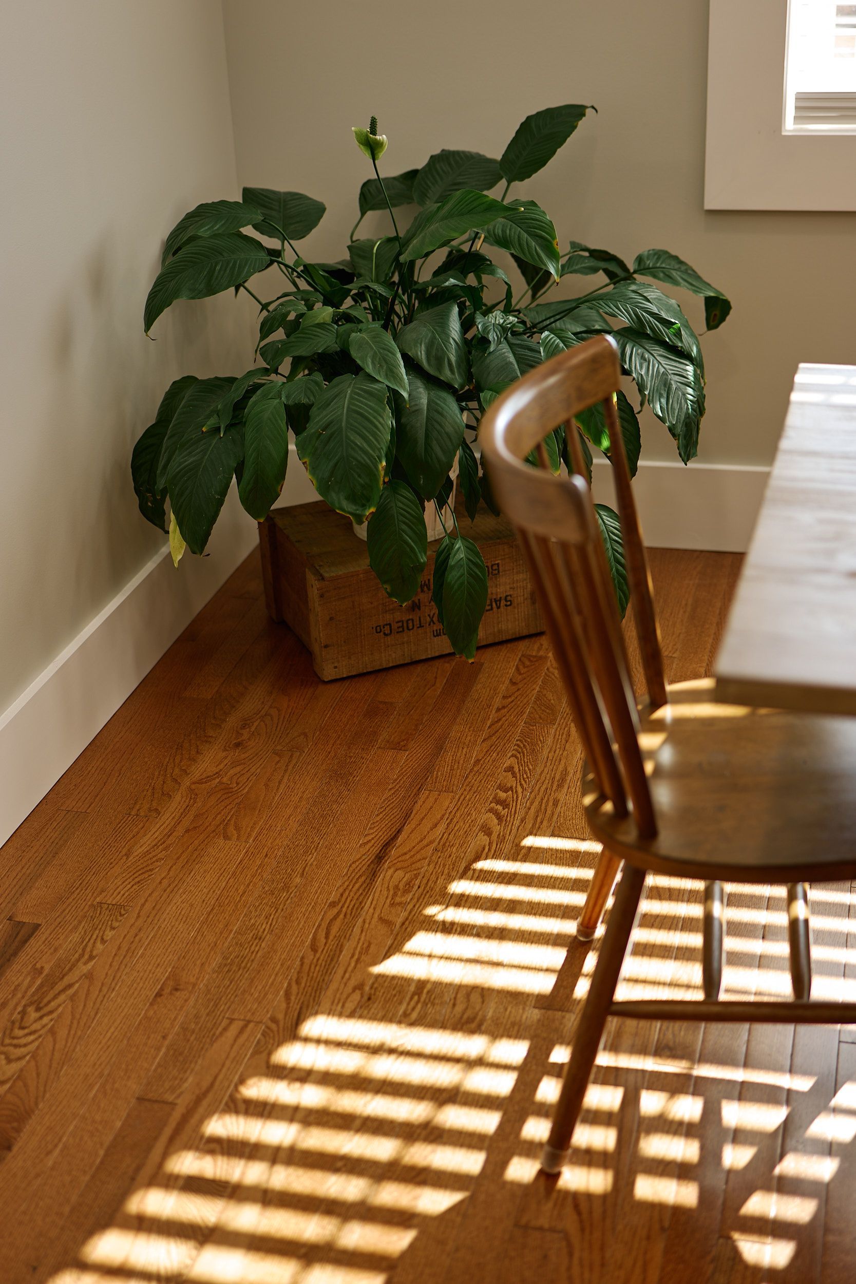 Closeup of Chair at Three Story Coffee, Where You Can Rent a Private Event Space in Mid-Missouri.