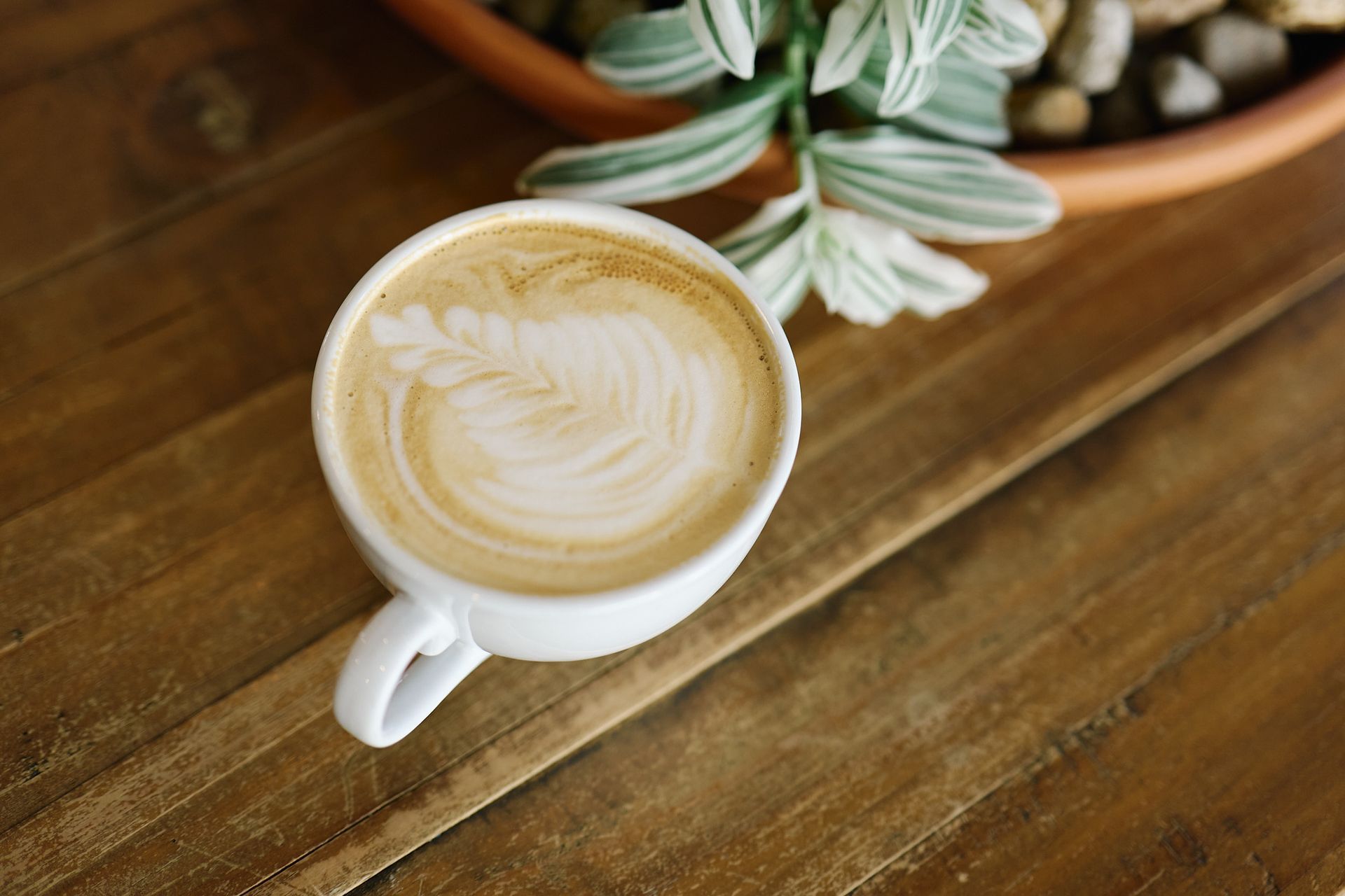 A Latte. Sip on Delicious, Ethically-Made Coffee From Three Story Coffee in Jefferson City, MO.