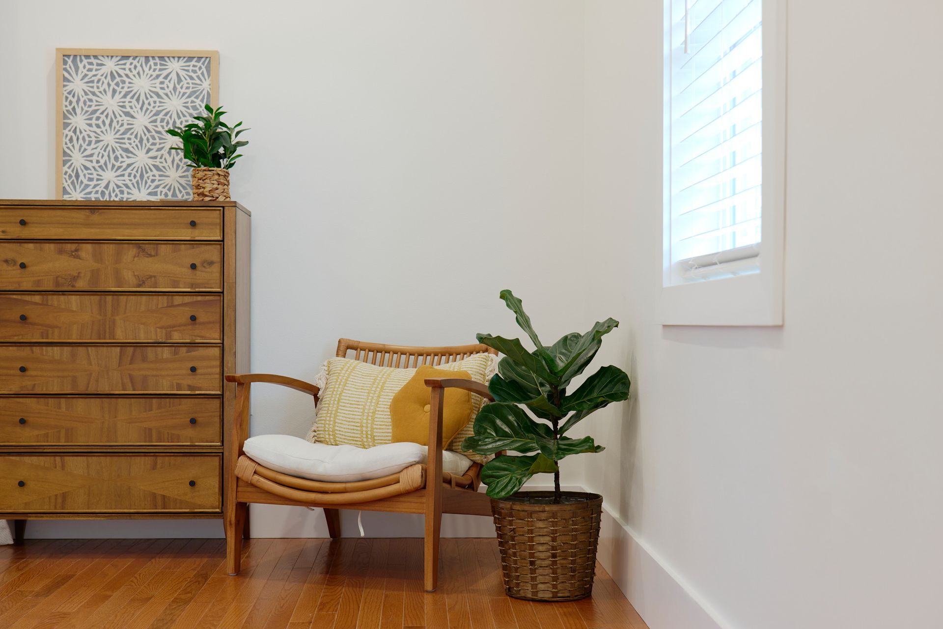 A Wooden Chair, Potted Plant & Dresser at Three Story Coffee's Vacation Rental in Jefferson City, MO