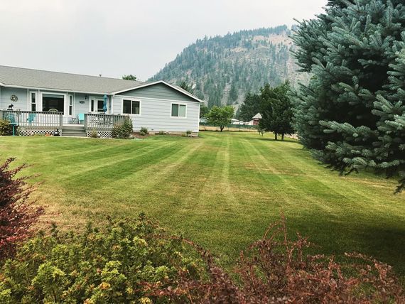 Lawn Grass - Spokane, WA - All Out Lawn & Landscaping