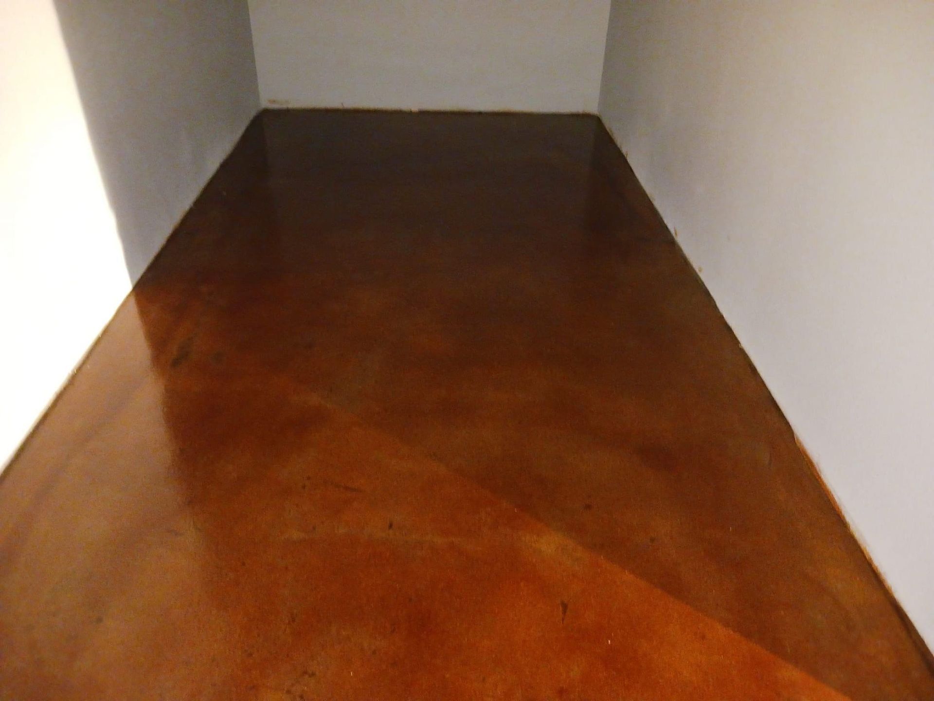 Brown, glossy floor in a small room, bordered by white walls.