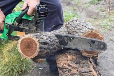 a person is cutting a log with a chainsaw .