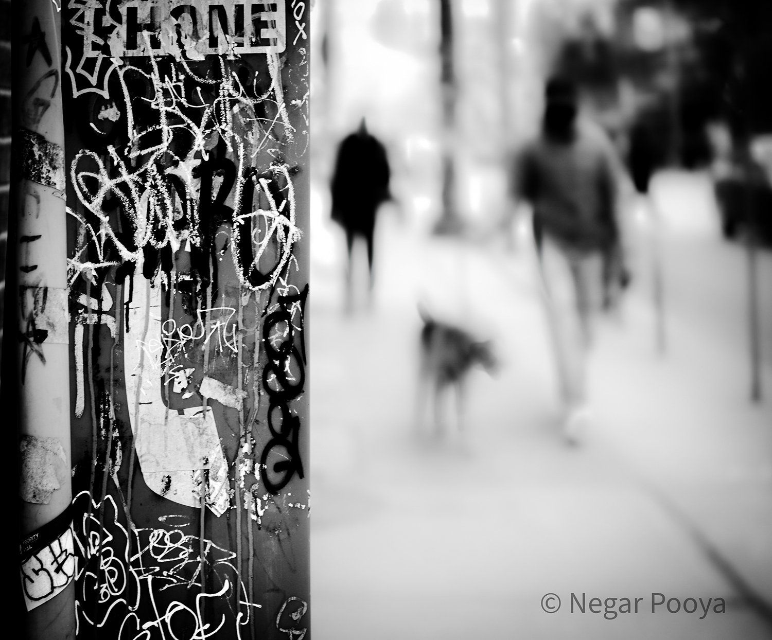 Black and White Photography