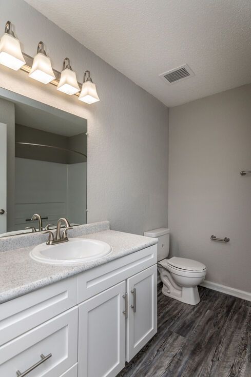 Bathroom with white vanity, gray walls, dark wood-look floor, and toilet.