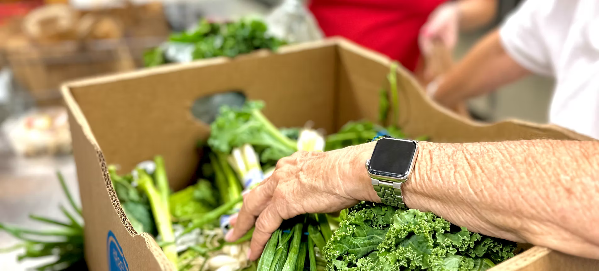 A person's hand reaching into a cardboard box filled with fresh green vegetables.
