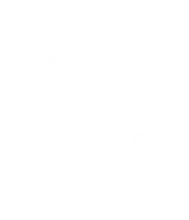 Blank white rectangle with a thin black border on the right edge