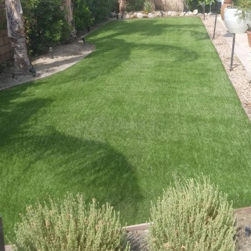 A lush green lawn with a few bushes in the foreground.