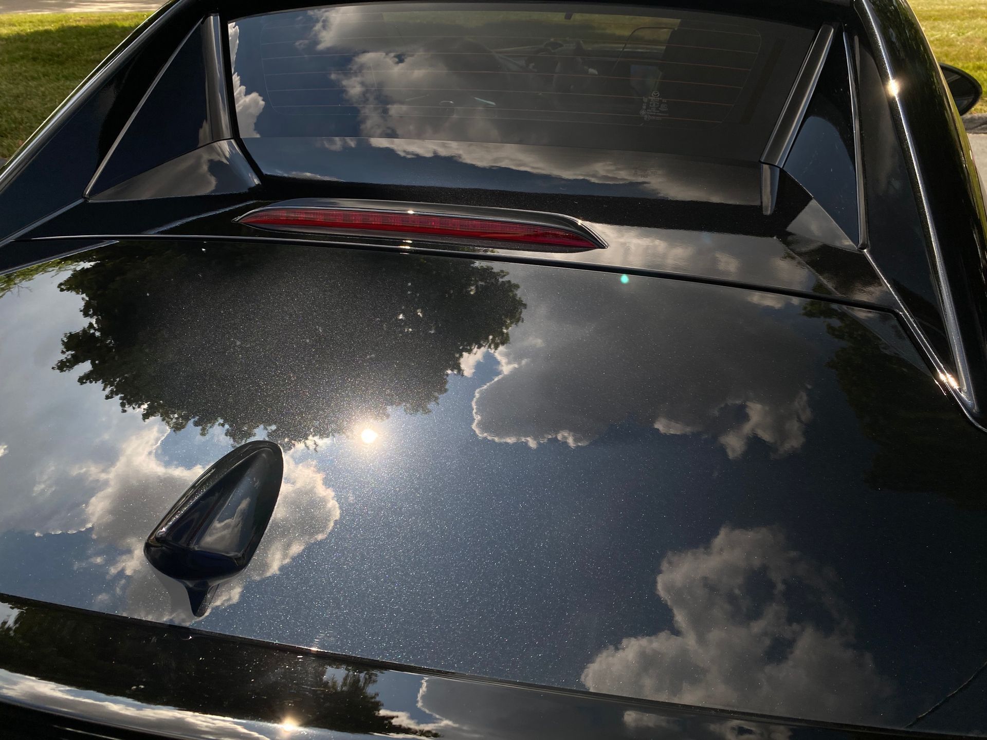 Paint correction black car