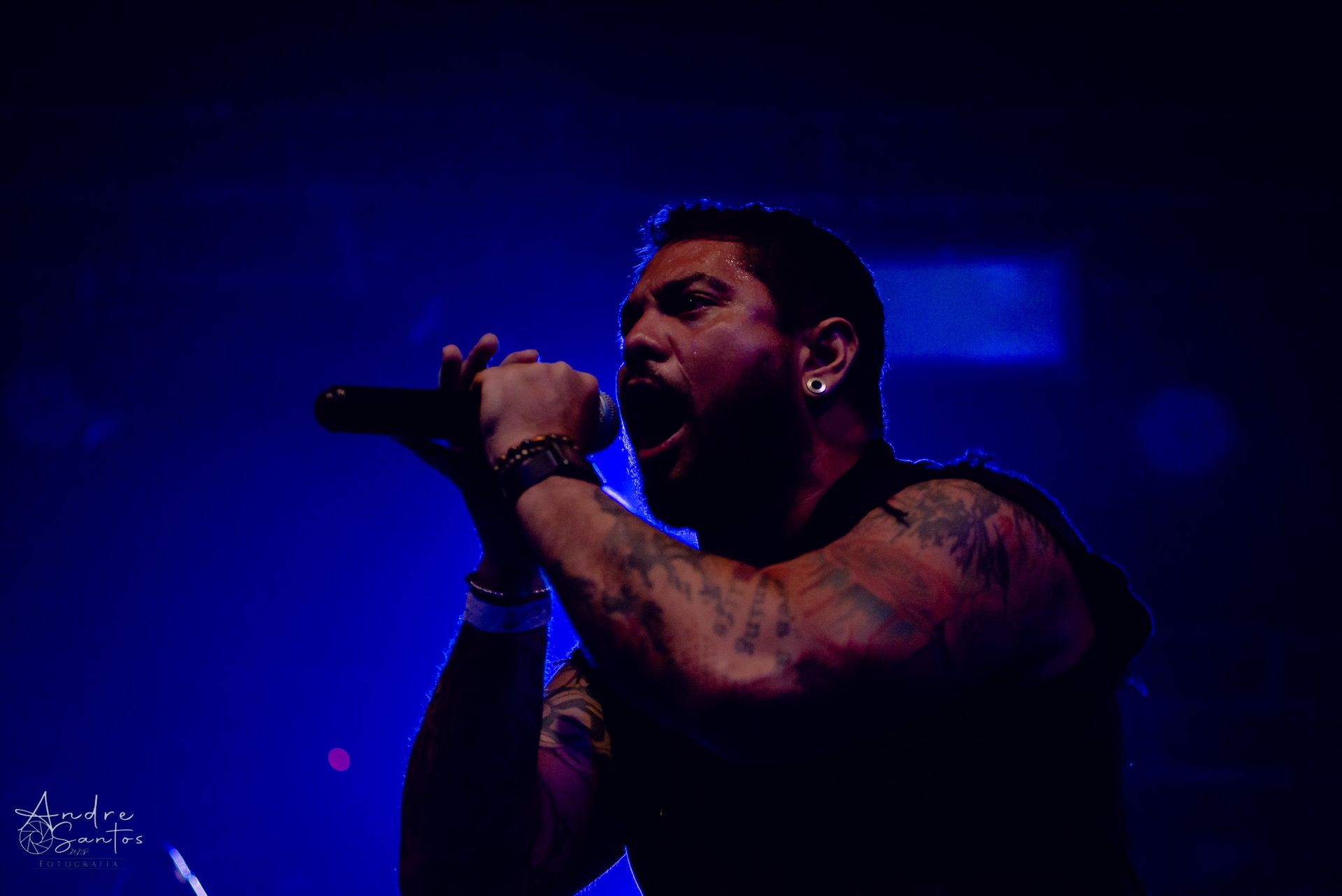 throw me to the wolves em SP