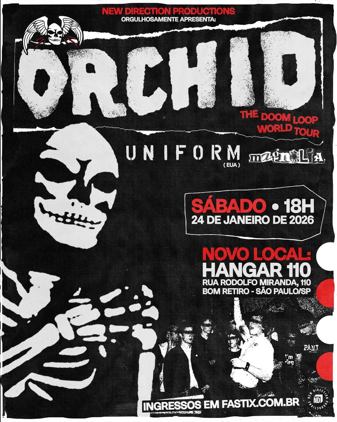 orchid no brasil
