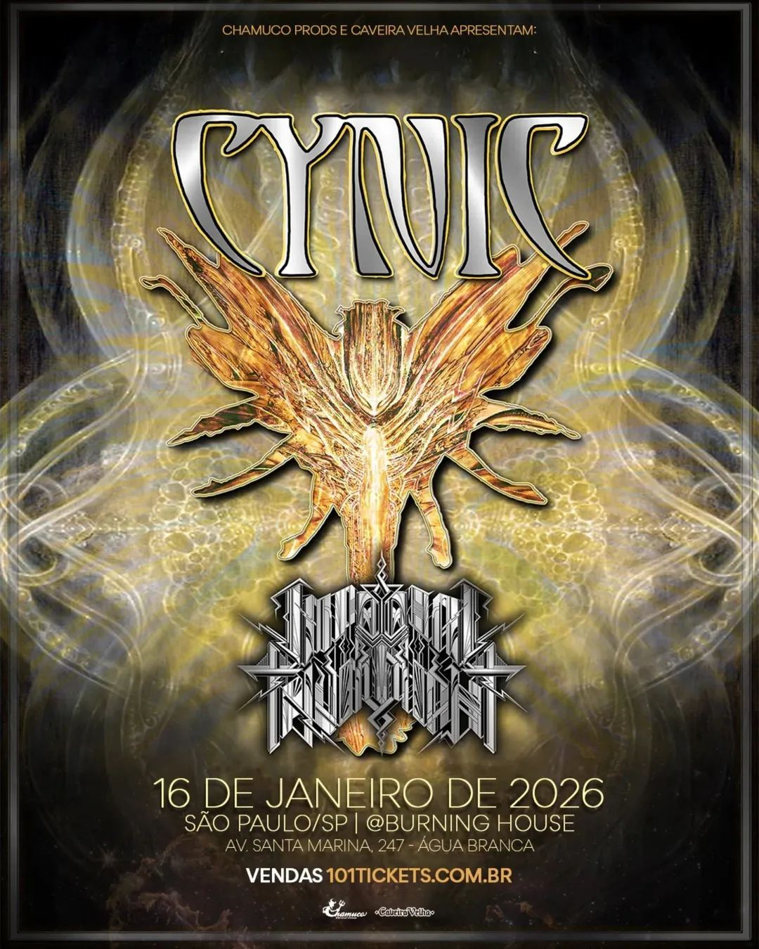 cynic no brasil