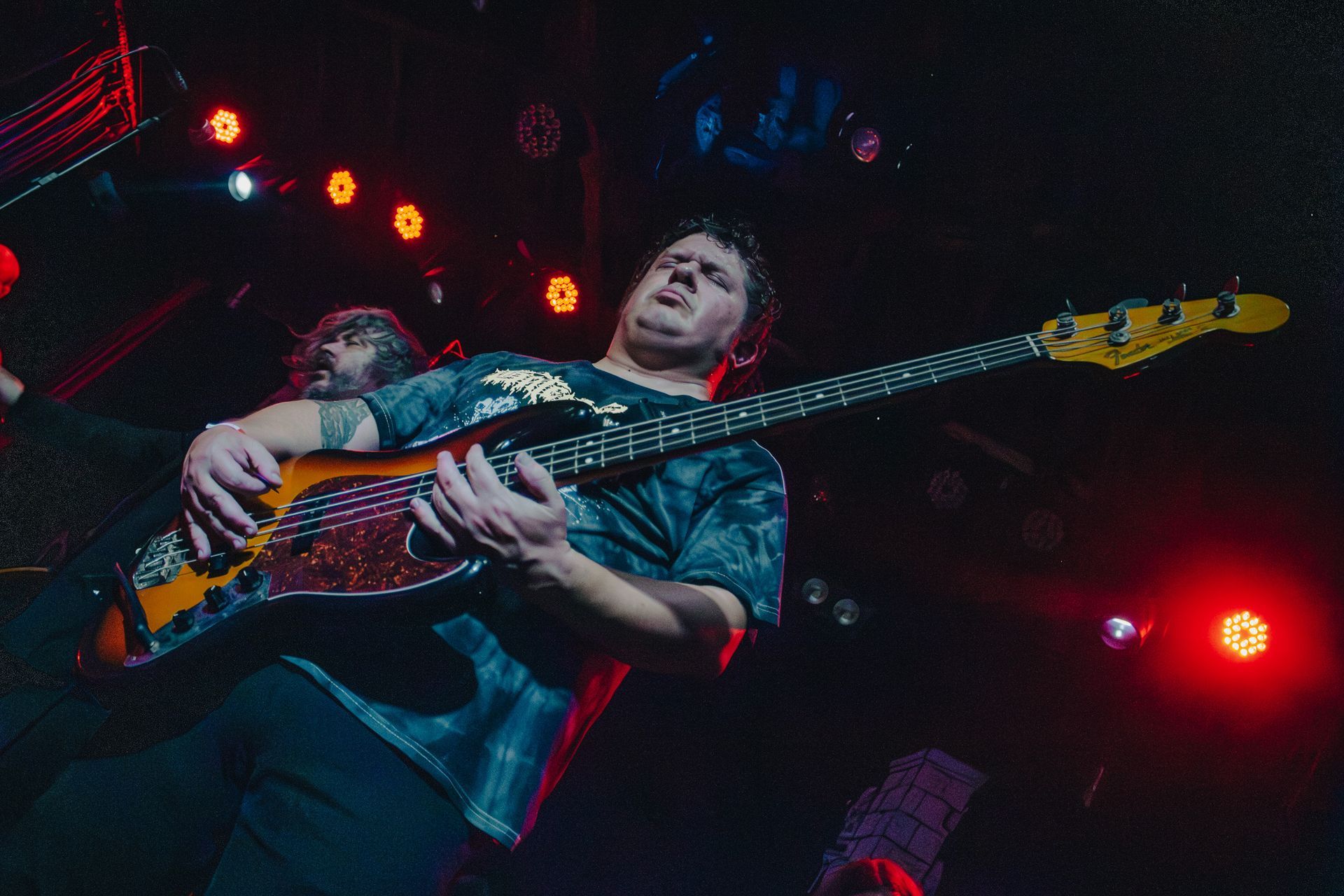 orchid em são paulo