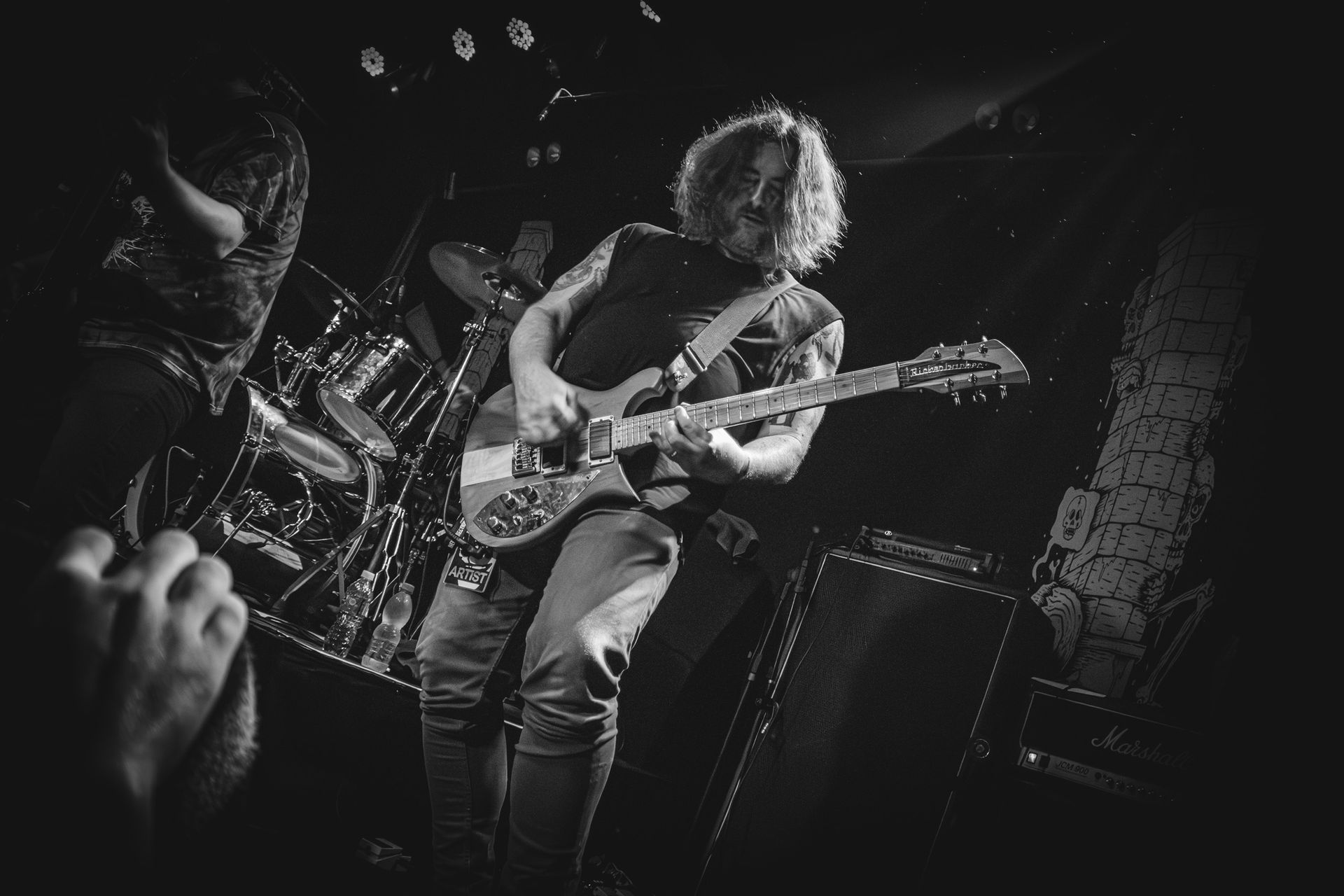 orchid em são paulo