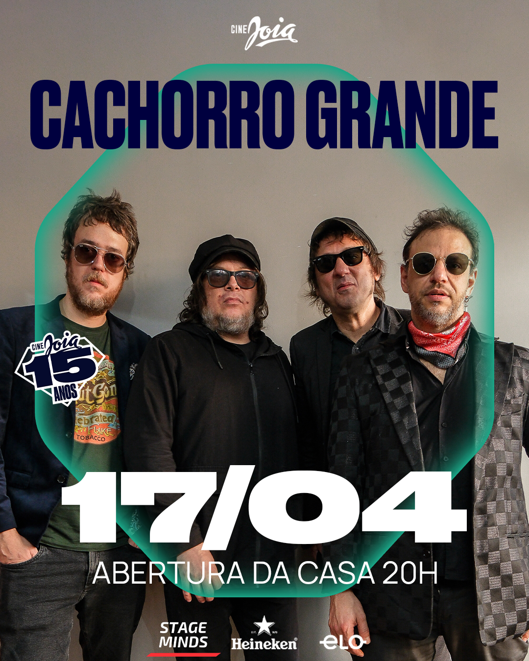 cachorro grande em são paulo