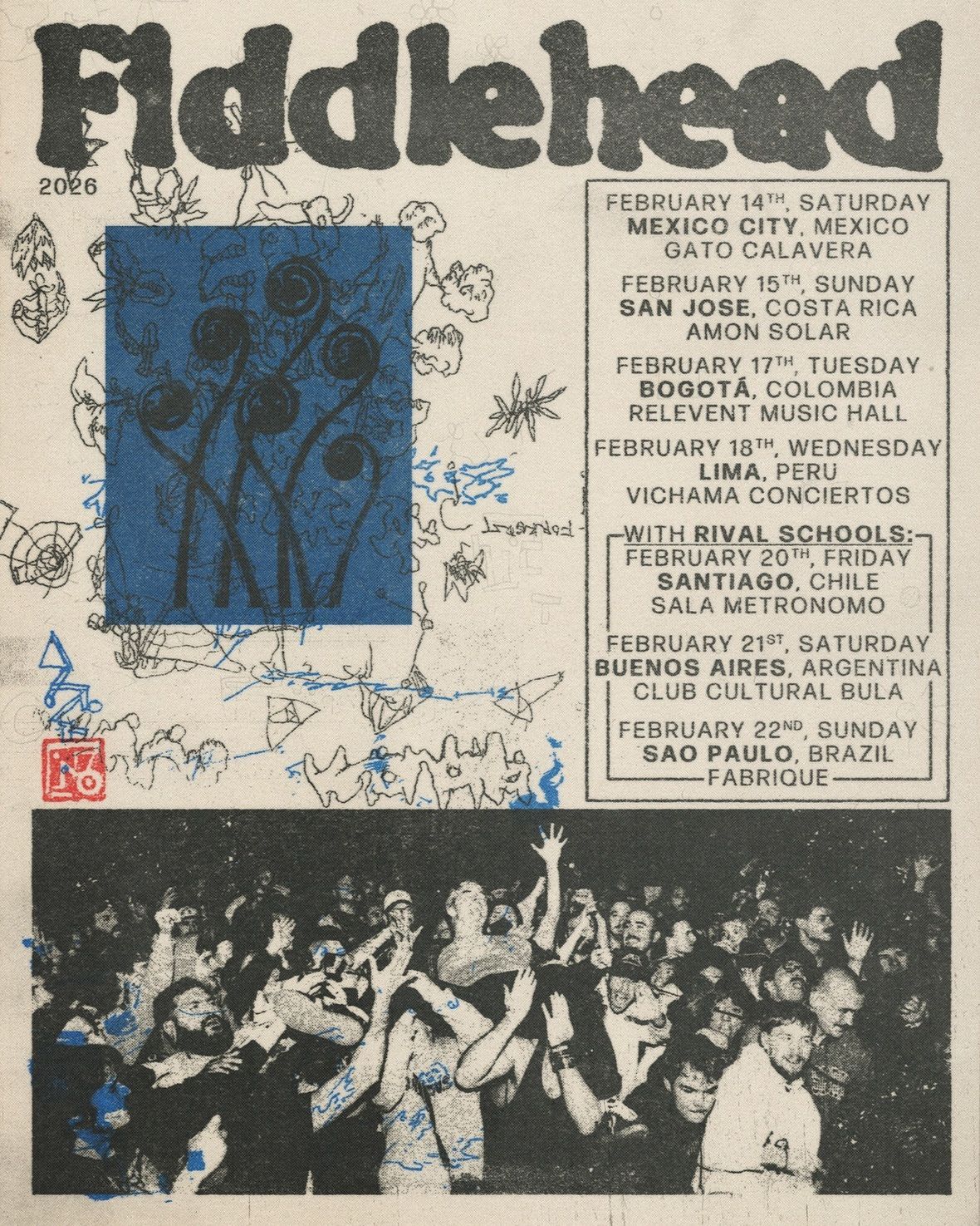 fiddlehead no brasil