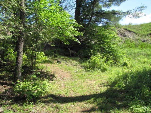 target at Caledonia Forest & Stream Club