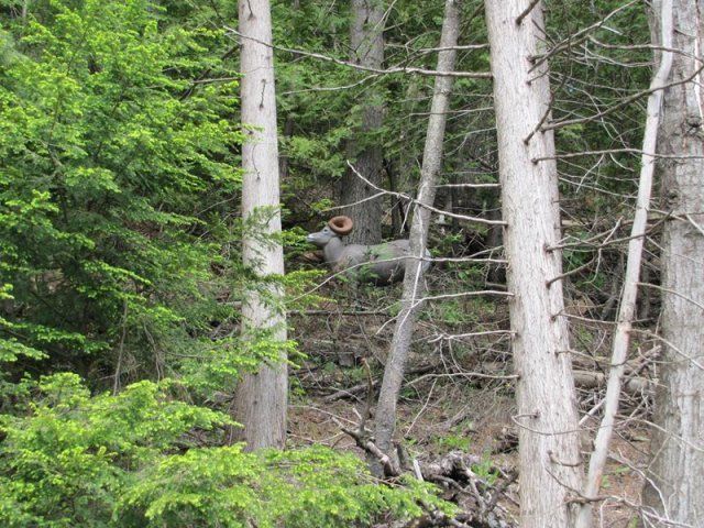 target at Caledonia Forest & Stream Club firing range
