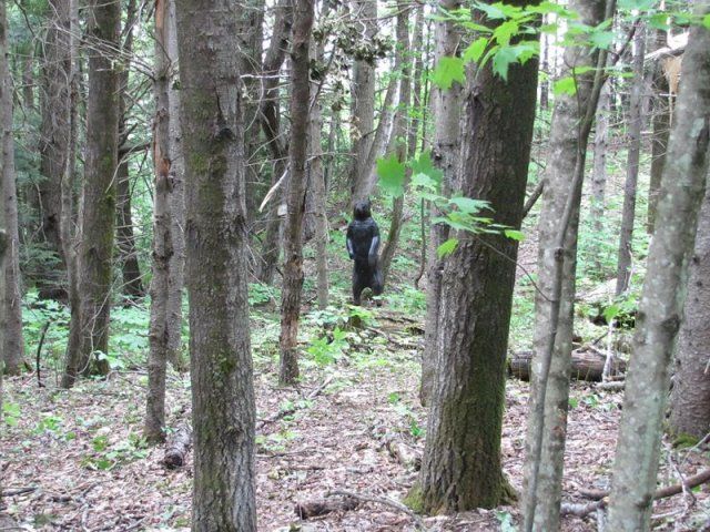 fake firing target at Caledonia Forest & Stream Club