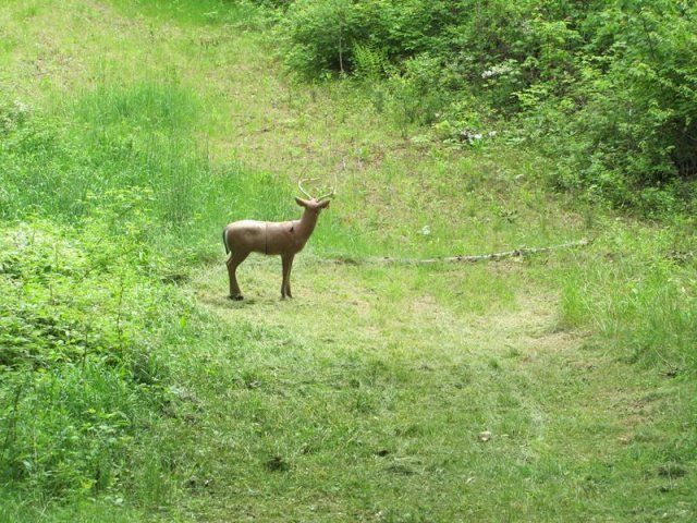 fake deer target