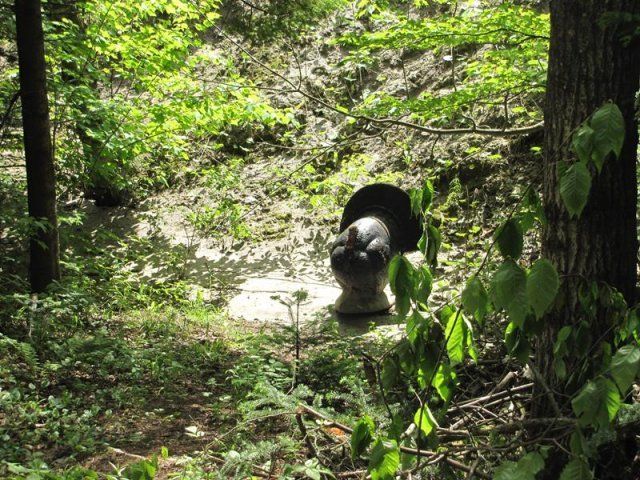 target at Caledonia Forest & Stream firing range