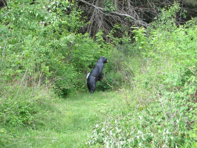 target at Caledonia Forest & Stream