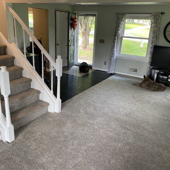 Carpet for every room