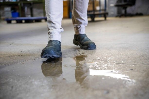 water damage restoration in Carlsbad
