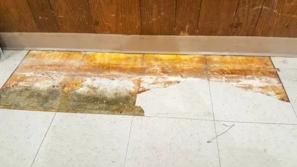 water damage restoration