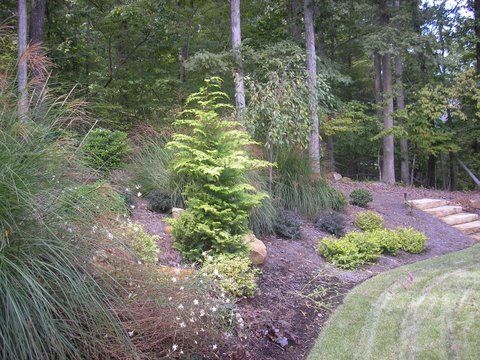 Landscape Service from Brookscapes LLC serving Raleigh, Wake Forest, and Apex NC