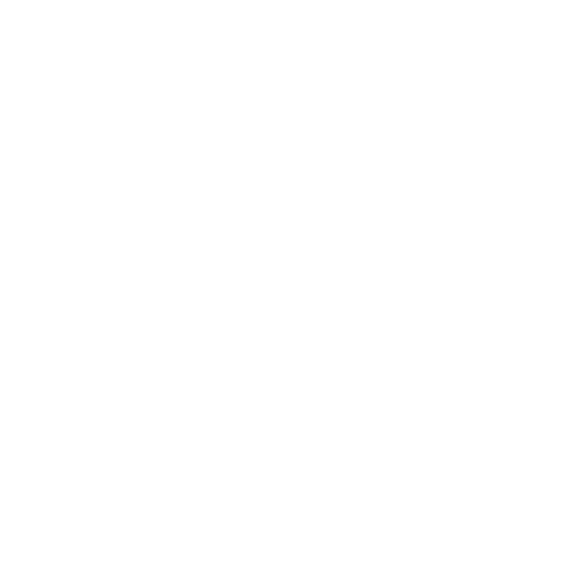 Arkansas United Investments LLC Logo in White
