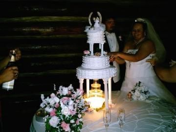 bride and groom cutting wedding cake