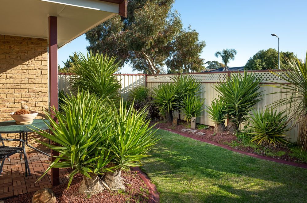 Sunny Backyard Garden With Green Shrubs, Lawn, and a Brick Patio Beside a House — Dirt World in Bundaberg East, QLD
