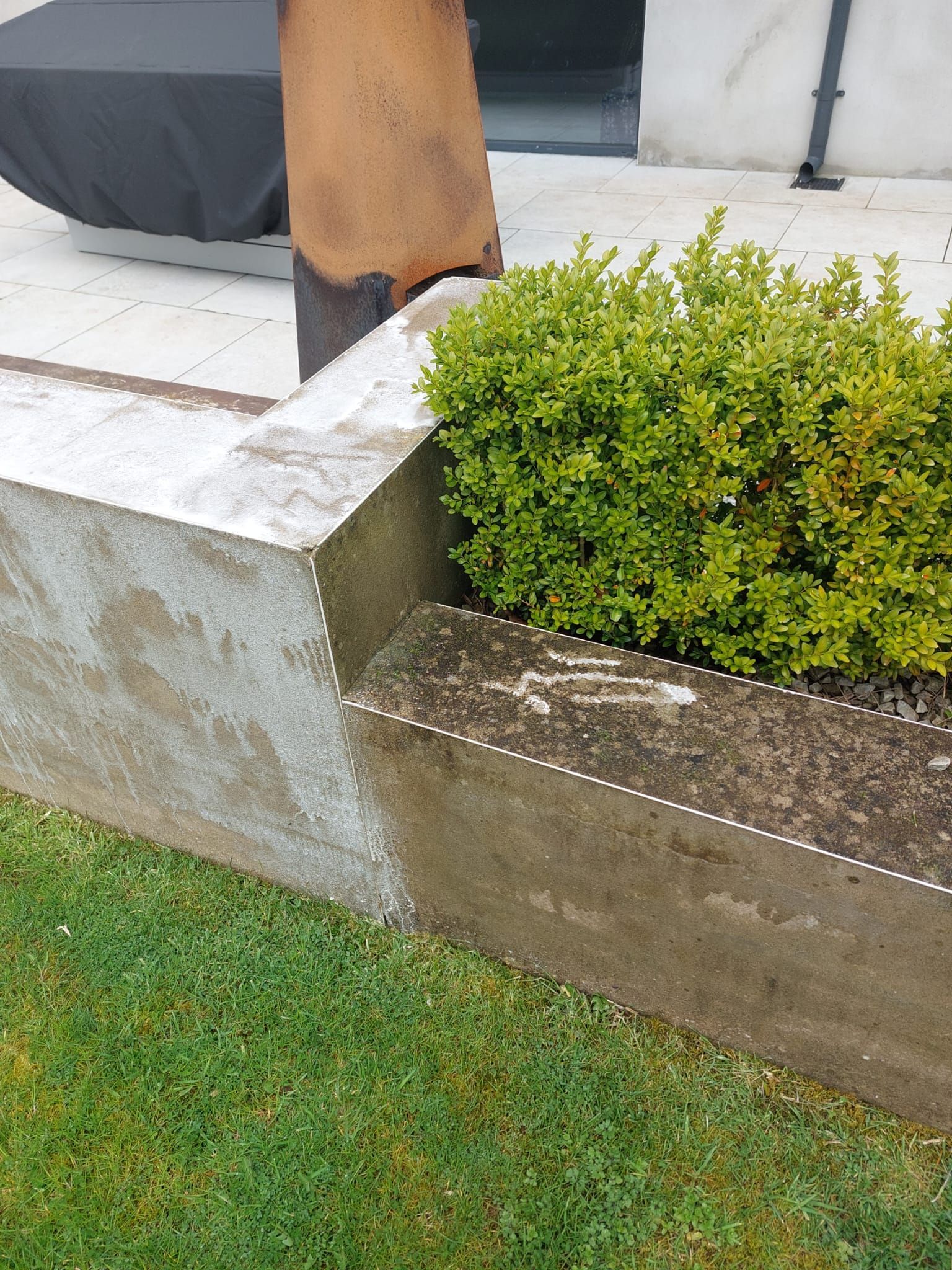 A bush is growing in a concrete planter next to a concrete wall.
