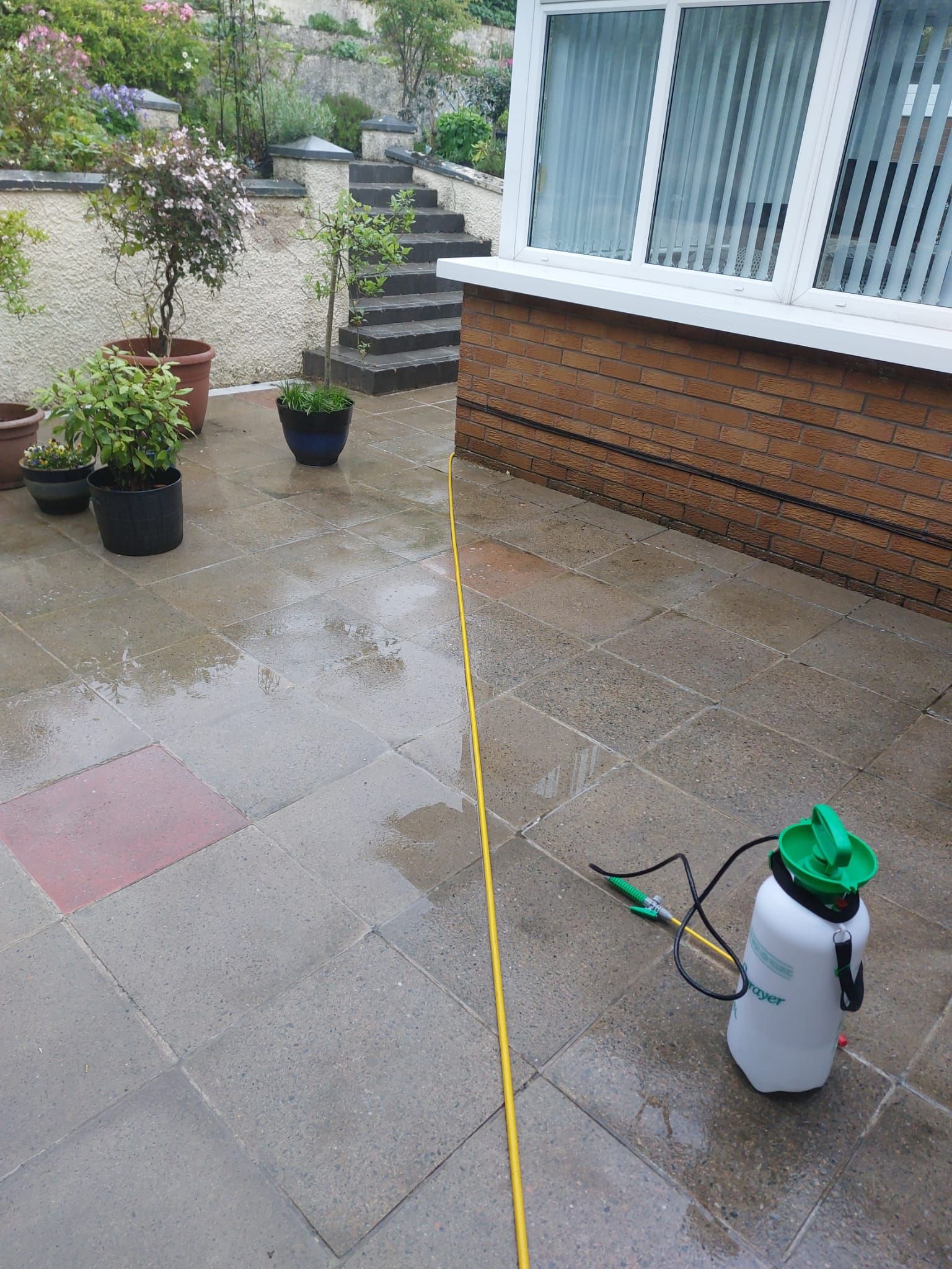 A spray bottle is sitting on a patio next to a brick building.