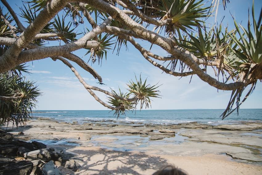 Shady Spot Under a Palm Tree on Caloundra Beach — Hydro Excavation Near Me in South East QLD