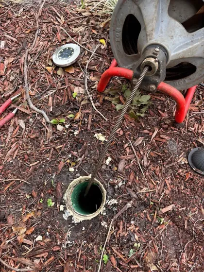 A sewer line being serviced outdoors, with a cable snake, a well-like pipe and surrounding mulch.