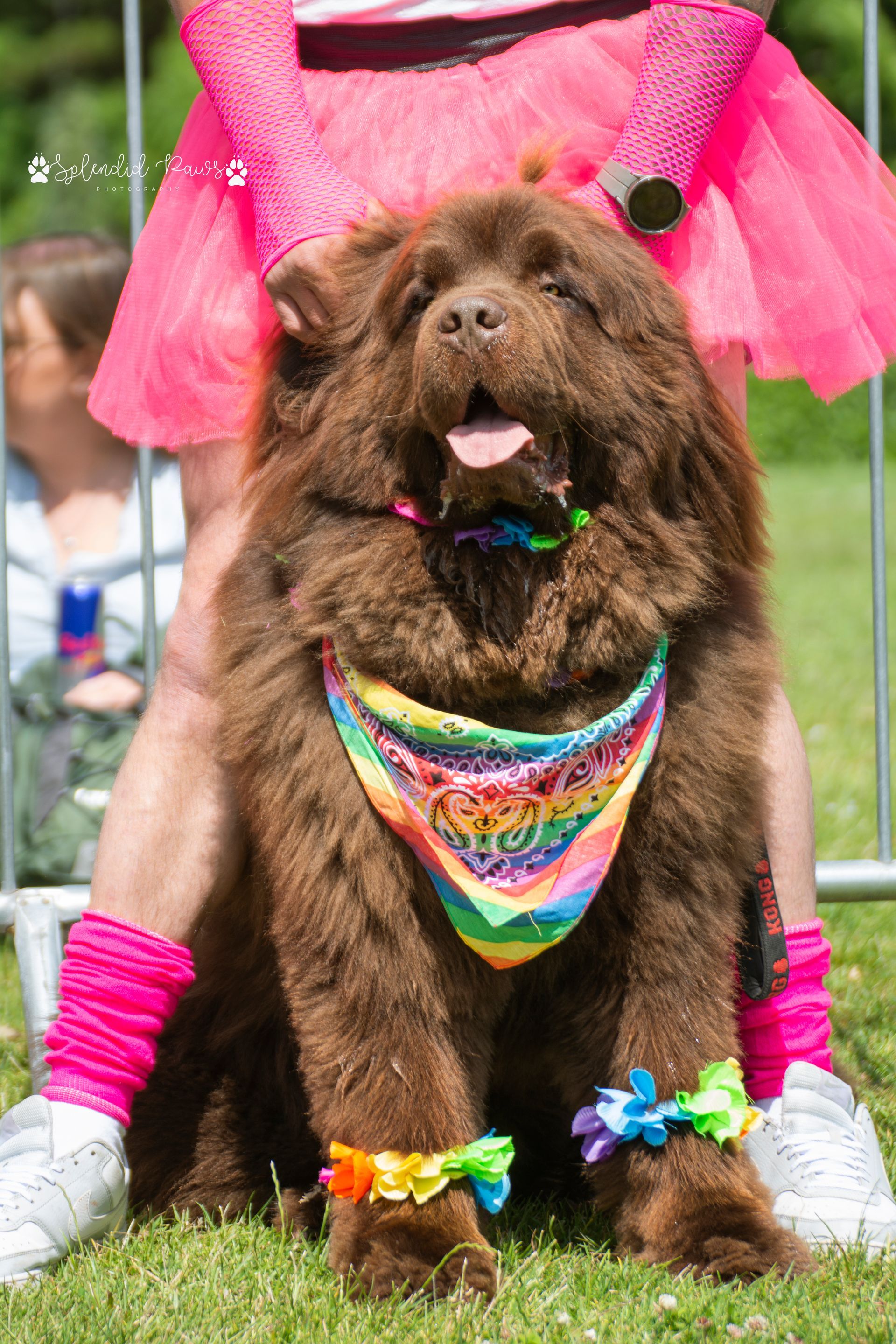 A Performer singing on stage with a microphone, wearing a rainbow dress, gold crown, and holding a saxophone.
