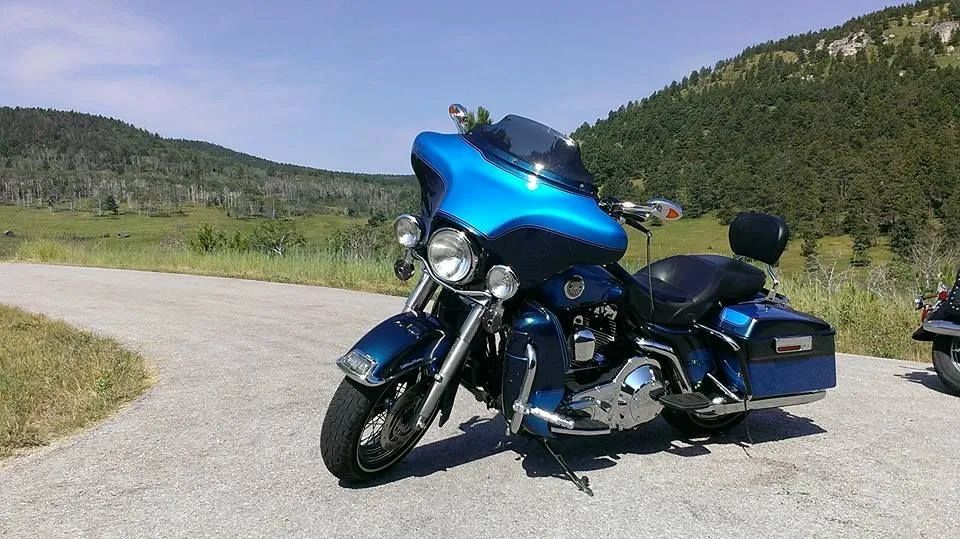 A blue harley davidson motorcycle is parked on the side of a road